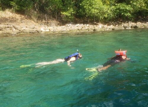 Snorkel Trips