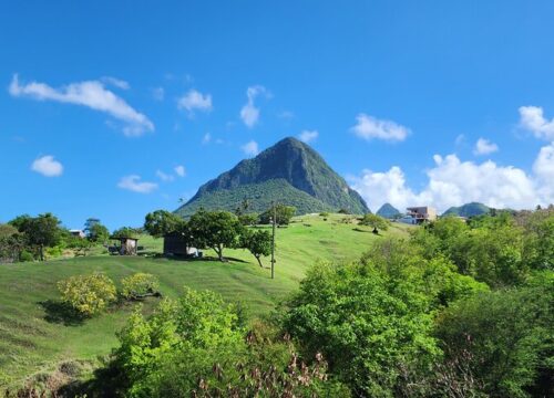 Petit Piton Climb